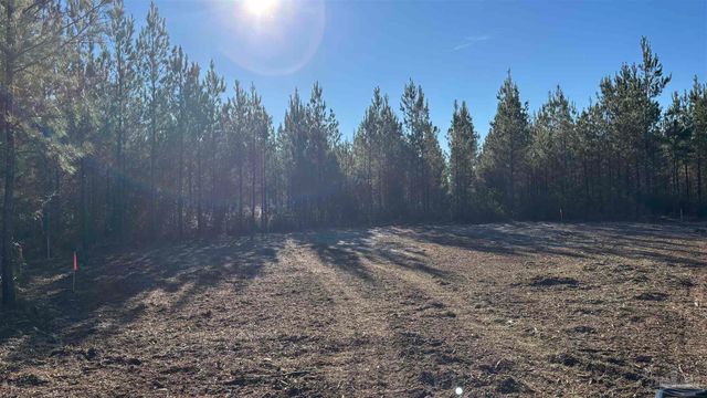 lot 57 Straw Bridge Rd, Allentown, FL 32565