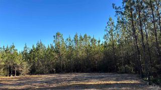 lot 57 Straw Bridge Rd, Allentown, FL 32565