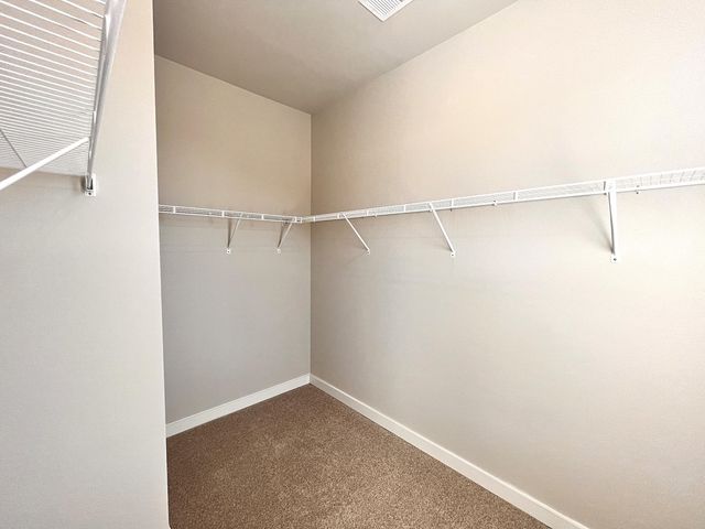 113 Summer Tanager Drive, Ravenel, SC 29470