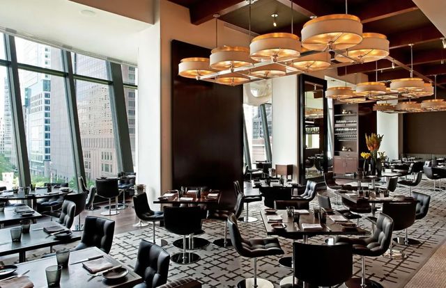 800 N Michigan Avenue 4703, Chicago, IL 60611