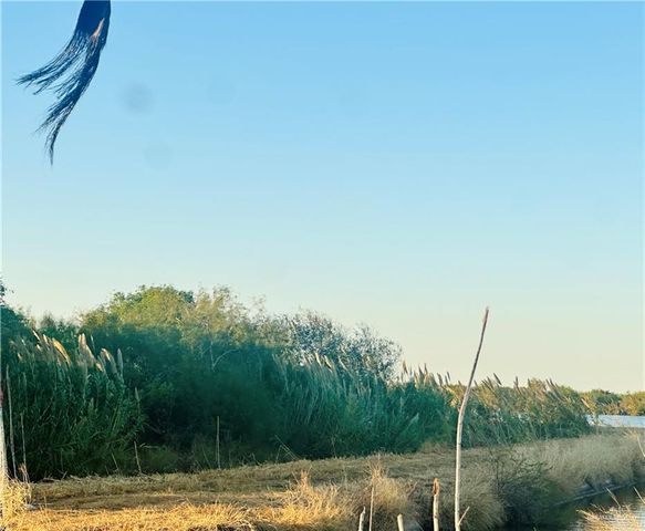 TBD Bucy Road, Hargill, TX 78549