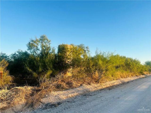 TBD Bucy Road, Hargill, TX 78549