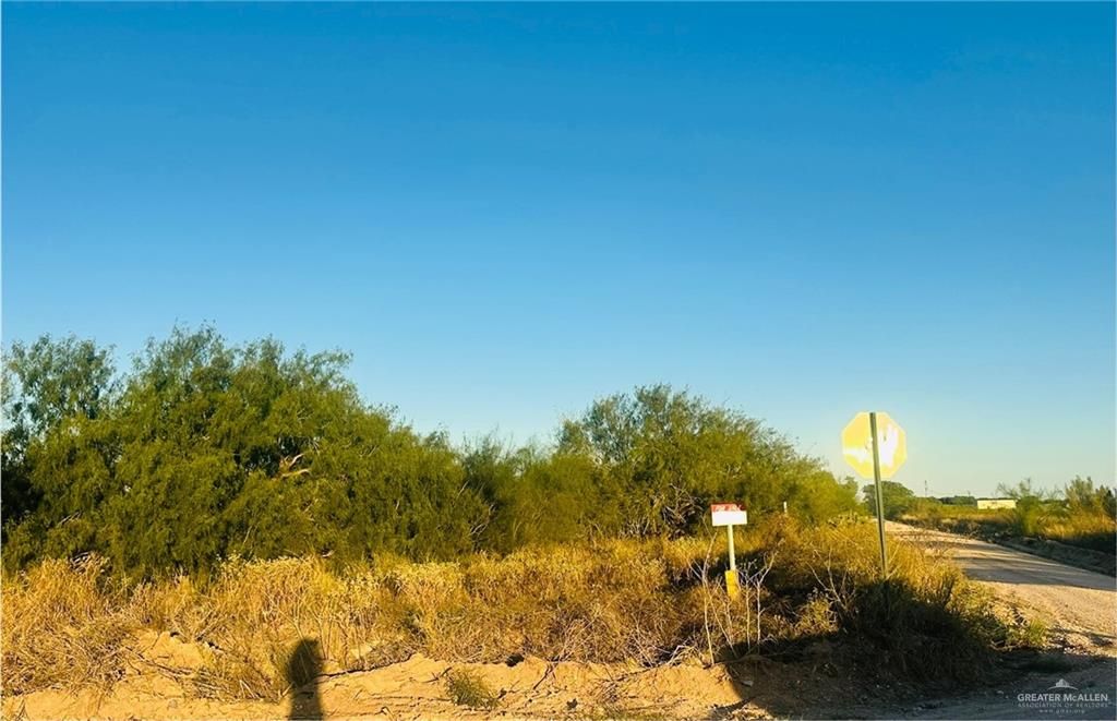 TBD Bucy Road, Hargill, TX 78549