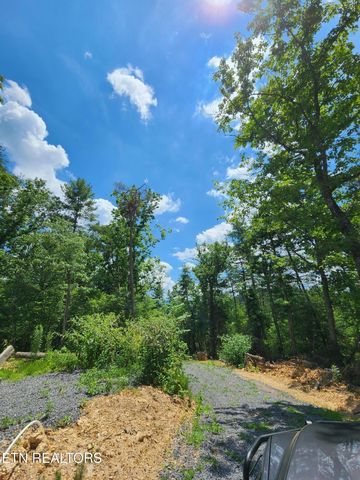 0 Tiger Lilly Drive, Cosby, TN 37722