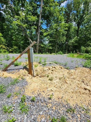 0 Tiger Lilly Drive, Cosby, TN 37722