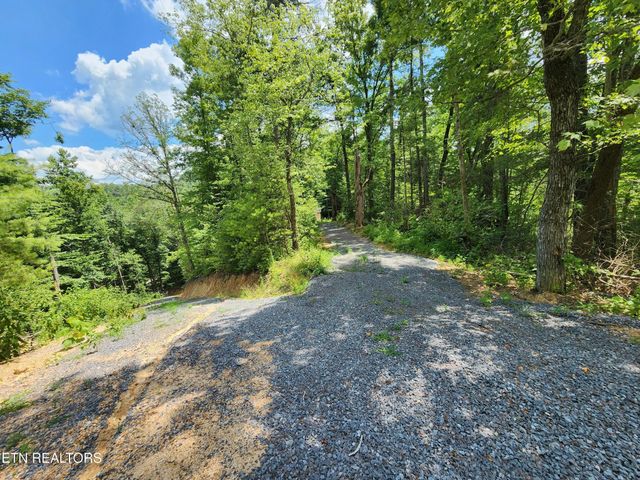 0 Tiger Lilly Drive, Cosby, TN 37722