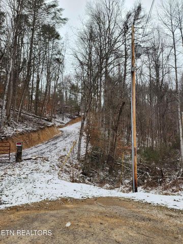 0 Tiger Lilly Drive, Cosby, TN 37722