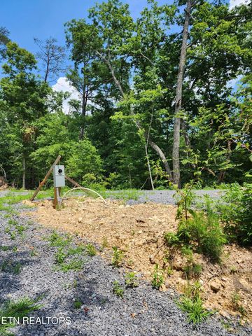 0 Tiger Lilly Drive, Cosby, TN 37722