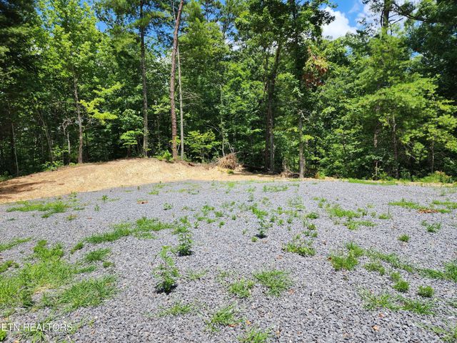 0 Tiger Lilly Drive, Cosby, TN 37722