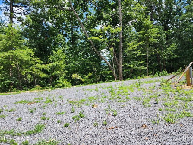 0 Tiger Lilly Drive, Cosby, TN 37722