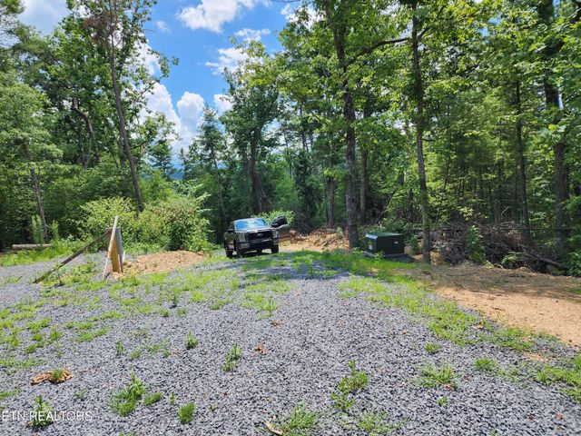 0 Tiger Lilly Drive, Cosby, TN 37722