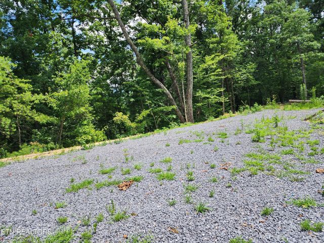 0 Tiger Lilly Drive, Cosby, TN 37722