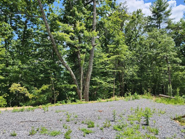 0 Tiger Lilly Drive, Cosby, TN 37722