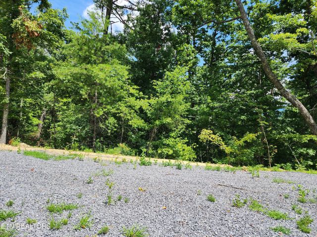 0 Tiger Lilly Drive, Cosby, TN 37722