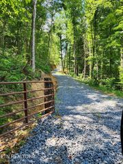 0 Tiger Lilly Drive, Cosby, TN 37722