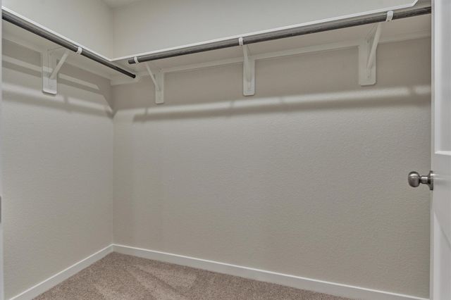 282 Brazen Forest Trail, Magnolia, TX 77354