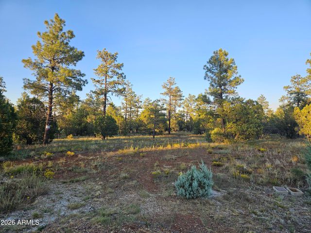 4843 W BISON Trail 41, Lakeside, AZ 85929