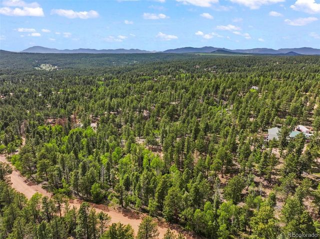 65 Spruce Creek Road, Divide, CO 80814