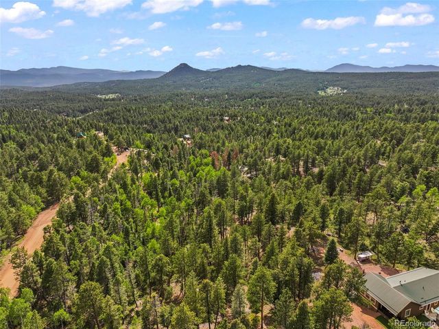 65 Spruce Creek Road, Divide, CO 80814