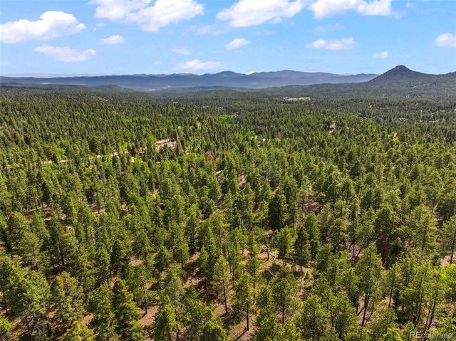 65 Spruce Creek Road, Divide, CO 80814