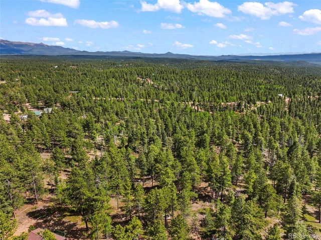 65 Spruce Creek Road, Divide, CO 80814