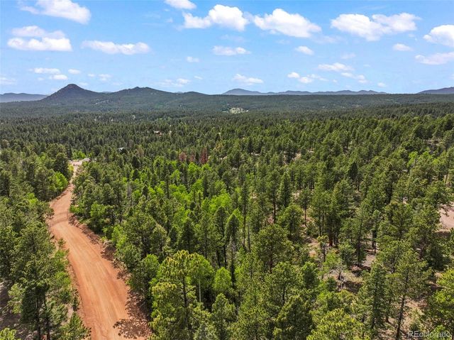 65 Spruce Creek Road, Divide, CO 80814