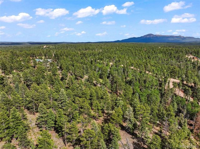 65 Spruce Creek Road, Divide, CO 80814