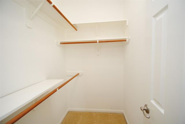 13409 Gardenspring Court, Rosharon, TX 77583