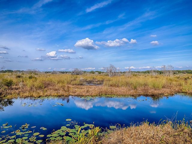 417 BLUE CYPRESS DRIVE, Groveland, FL 34736