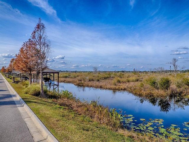 417 BLUE CYPRESS DRIVE, Groveland, FL 34736