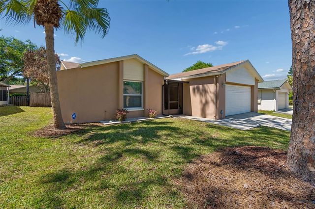 14827 OAK VINE DRIVE, Lutz, FL 33559