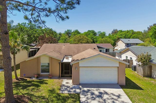 14827 OAK VINE DRIVE, Lutz, FL 33559