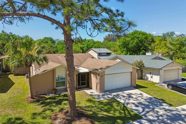 14827 OAK VINE DRIVE, Lutz, FL 33559