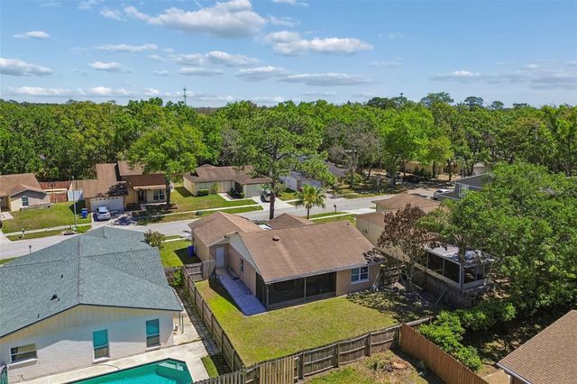 14827 OAK VINE DRIVE, Lutz, FL 33559