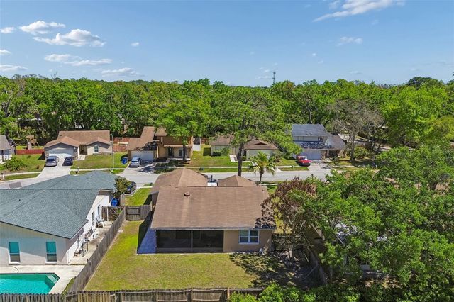 14827 OAK VINE DRIVE, Lutz, FL 33559