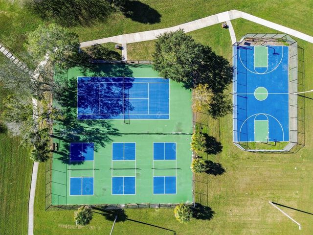 14827 OAK VINE DRIVE, Lutz, FL 33559