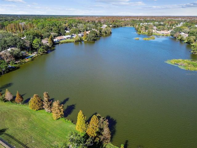 14827 OAK VINE DRIVE, Lutz, FL 33559