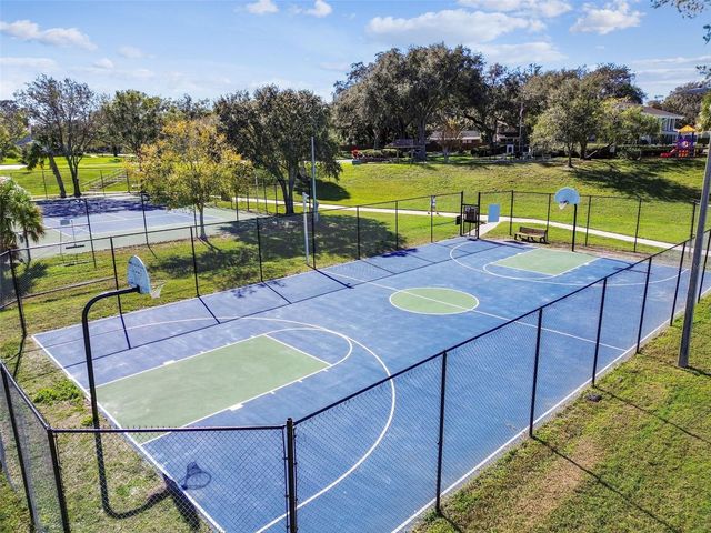 14827 OAK VINE DRIVE, Lutz, FL 33559