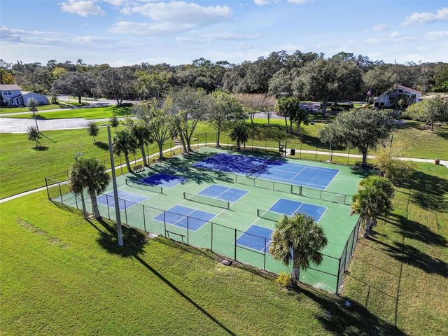 14827 OAK VINE DRIVE, Lutz, FL 33559