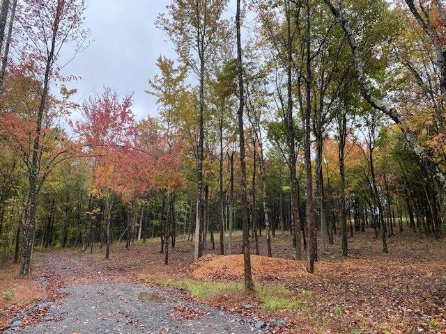 7960 Bill Moss Rd, White House, TN 37188