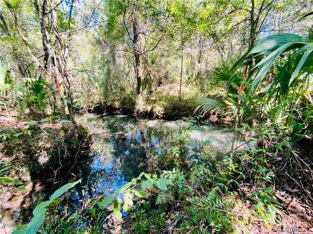9302 W Tall Pines Court, Crystal River, FL 34428