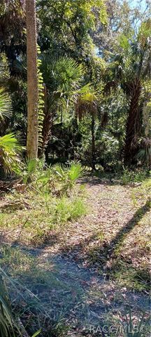 9302 W Tall Pines Court, Crystal River, FL 34428