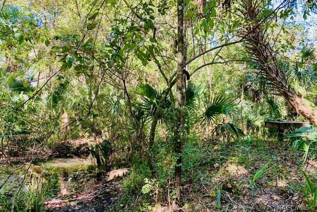 9302 W Tall Pines Court, Crystal River, FL 34428