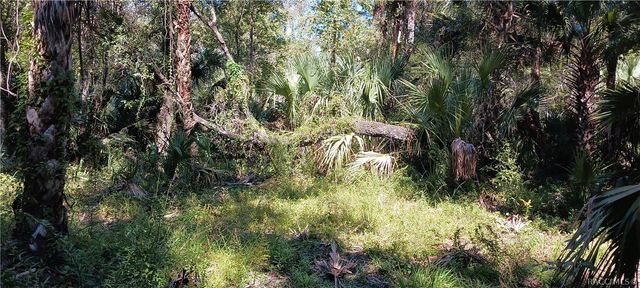 9302 W Tall Pines Court, Crystal River, FL 34428