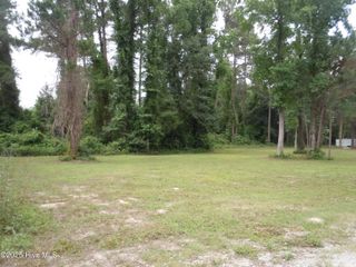 Tbd Near 110 Elizabeth Street, Tabor City, NC 28463