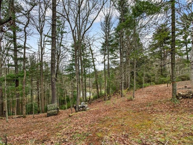 44 Bettis Circle, Ellijay, GA 30536