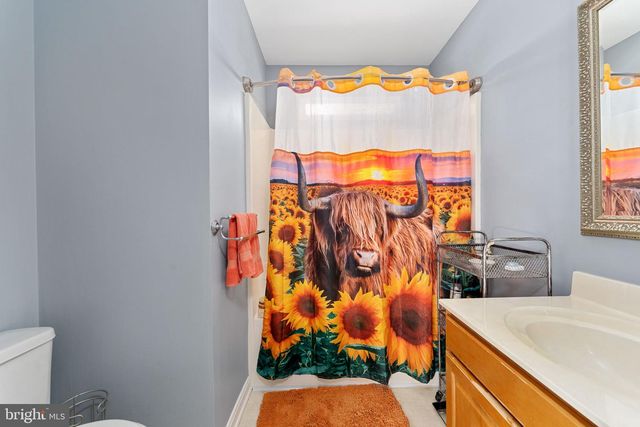 11704 BLEASDELL DR, Spotsylvania, VA 22551