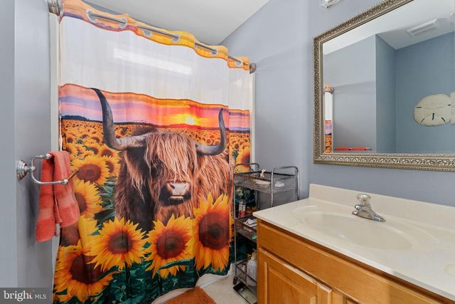 11704 BLEASDELL DR, Spotsylvania, VA 22551