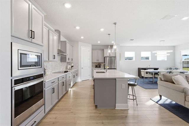 12889 OAK STREET, San Antonio, FL 33576