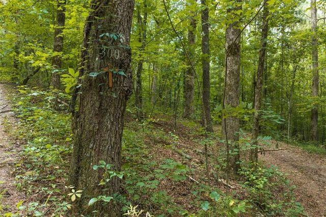 300 Sumac Lane, Ellijay, GA 30540